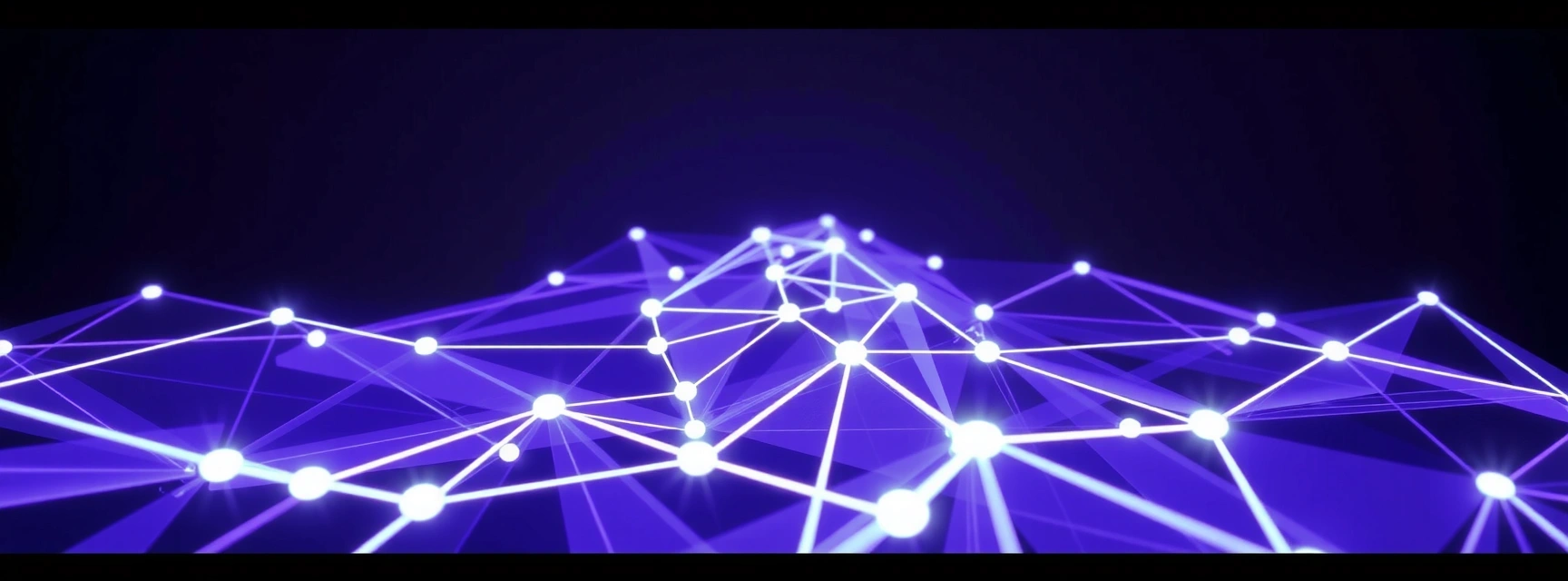 Particle network visualization